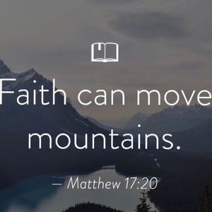 Meet your Posher, Pam